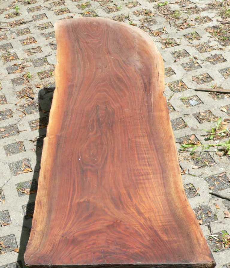 Walnut Coffee Table – Live edge wood slab