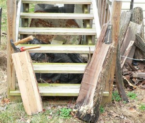 Harvesting the urban forest require simple tools if the tree service has cut tree into firewood – example white oak and black walnut logs 